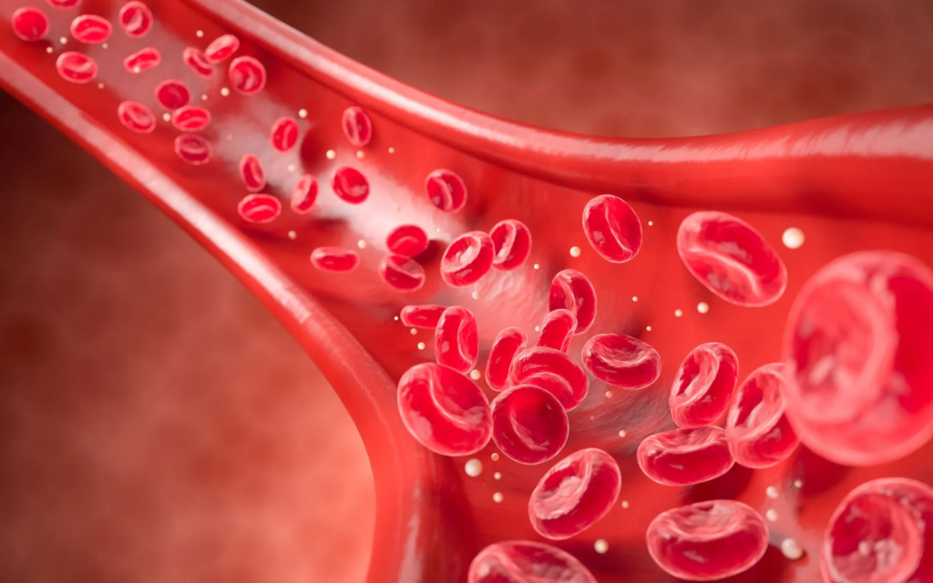 The current image has no alternative text. The file name is: blood-flow-erectile-function.webp