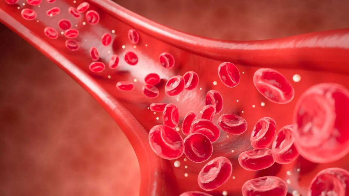 Why Blood Flow Matters For Erectile Function